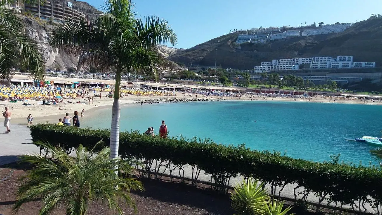 Mgt - Appartamento Sulla Spiaggia Con Terrazza Romantica Puerto Rico  Apartment Puerto Rico (Gran Canaria)